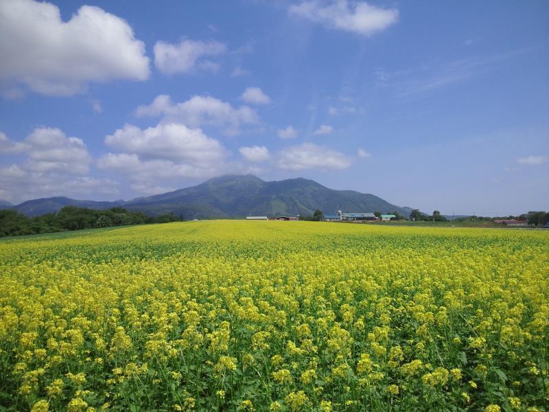 Хостел Karimpani Niseko Fujiyama Екстер'єр фото